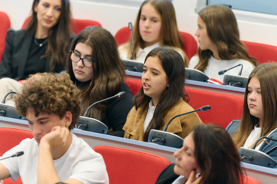 MICS na sjeveru: djeca, lokalne vlasti i civilni sektor zajedno o  prioritetima za bolji položaj djece 16